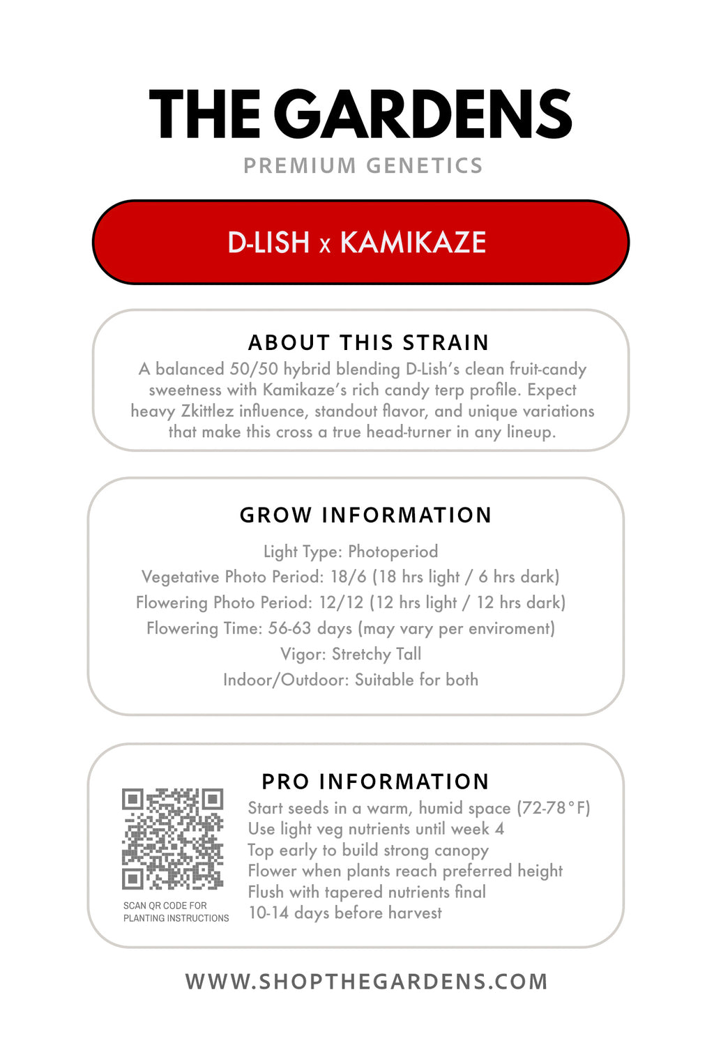 D-LISH × KAMIKAZE  (FEM 3 Pack)
