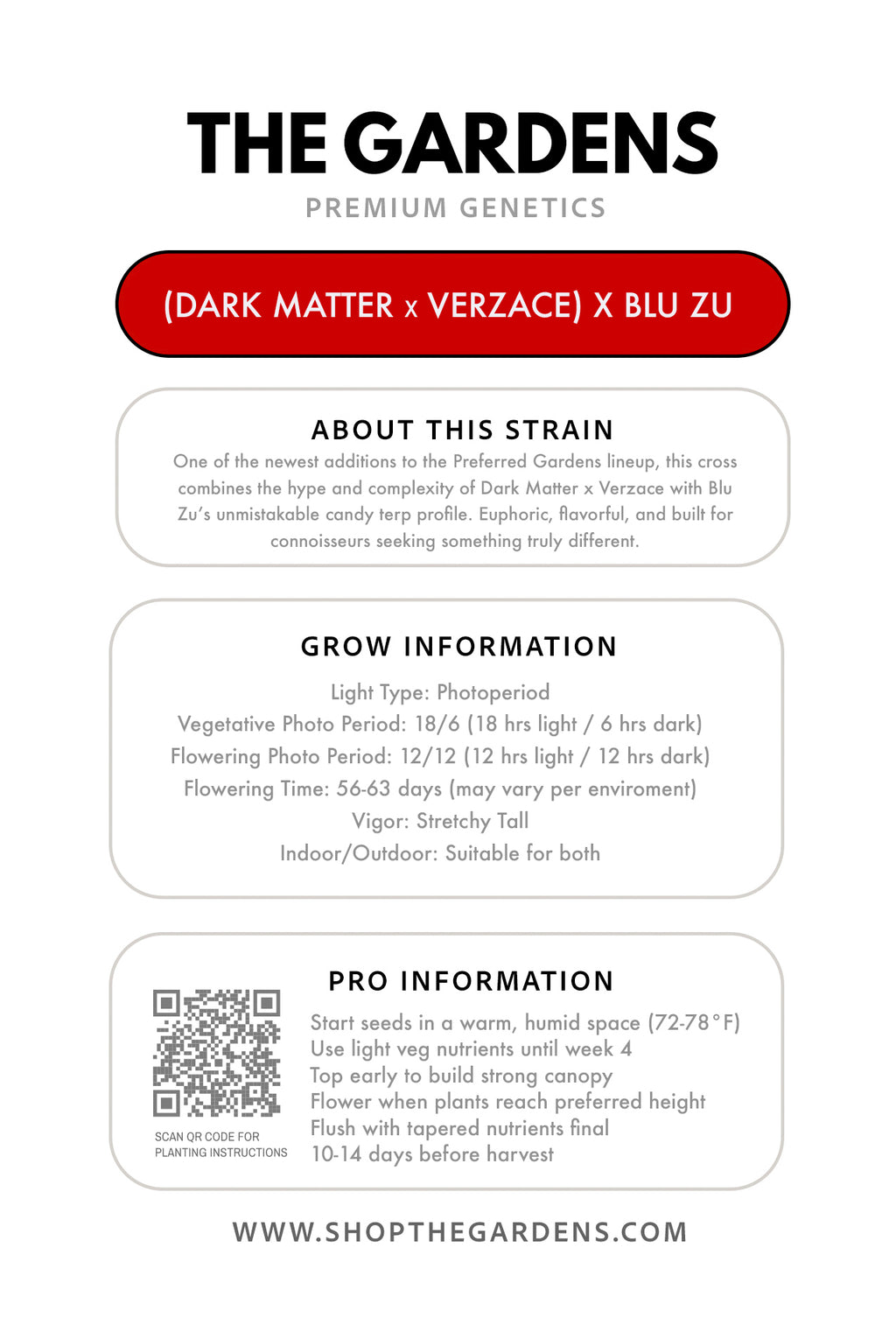 (DARK MATTER x VERZACE) X BLU ZU (FEM 3 Pack)