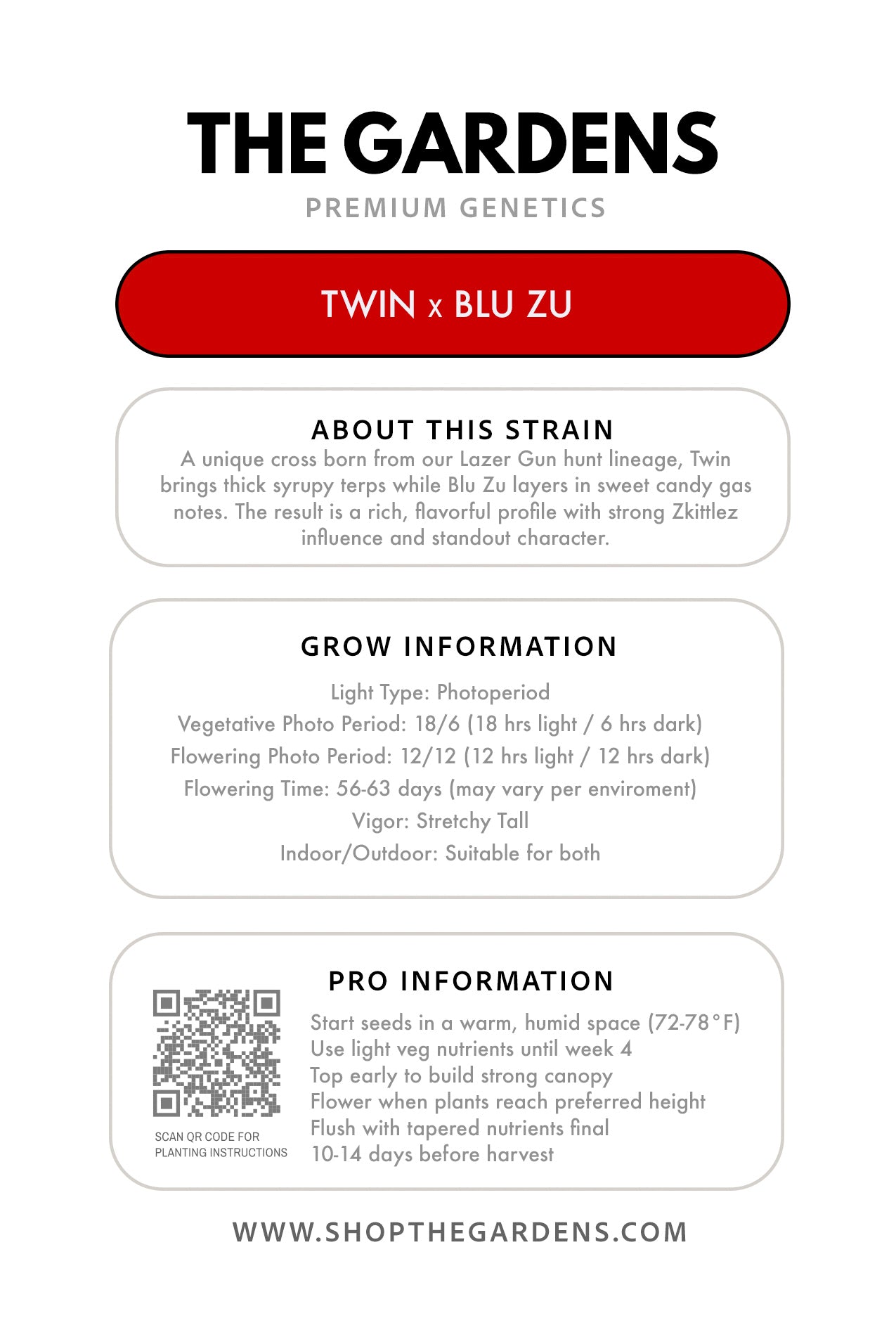 TWIN x BLU ZU (FEM 3 Pack)