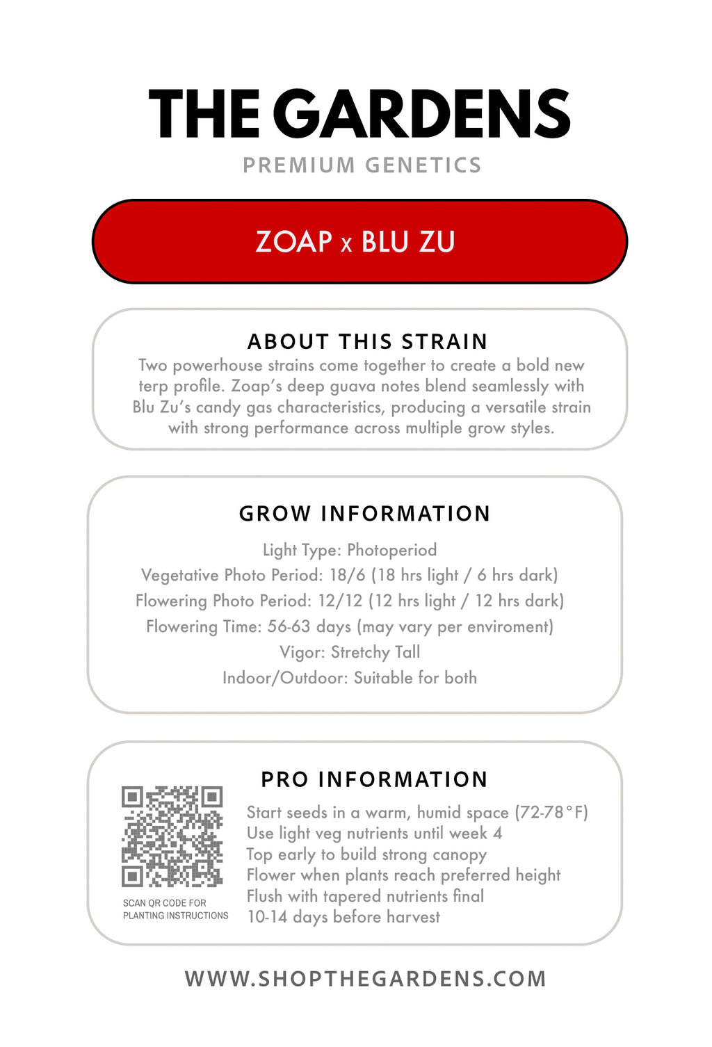 ZOAP x BLU ZU (FEM 3 Pack)